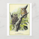 Recherche de hibou vintage cartes postales Brun