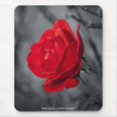 Recherche de rose rouge tapis souris Amour