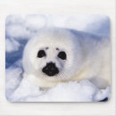 Recherche de bébé phoque tapis souris Animaux mignons