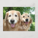 Recherche de dehors cartes postales Dog