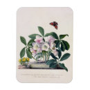 Recherche de la géorgie vœux cartes Fleurs