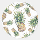 Recherche de motif ananas autocollants Aquarelle
