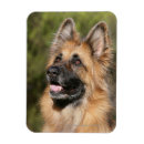 Recherche de deutscher magnets Headshot