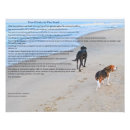 Recherche de poèmes de chien posters Animaux domestiques