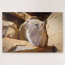 Recherche de rare puzzles Nature