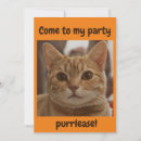 Recherche de gingembre invitations Orange