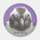 Recherche de sud africain magnets Pour tous