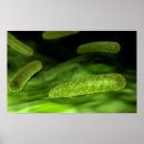 Recherche de tridimensionnel art Biologie moléculaire