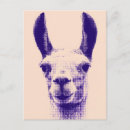Recherche de de lama cartes postales Pour elle