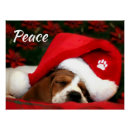 Recherche de pacifique posters Mignon