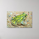 Recherche de amphibie art Vert