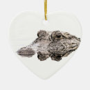 Recherche de crocs ornements Alligator