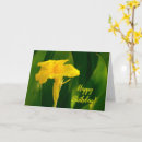 Recherche de canna photographie Fleur