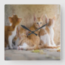 Recherche de tigre blanc horloges Orange