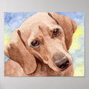 Recherche de chien de teckel posters Animaux familiers