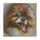 Recherche de peinture de portrait carreaux Chien