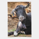 Recherche de chèvres cuisine linges Mignon