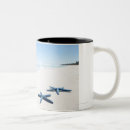 Recherche de étoile mer tasses Vie marine