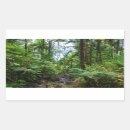 Recherche de flore rectangles autocollants Tropical