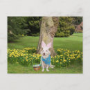 Recherche de lapin de pâques mignon invitations Jonquilles