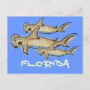 Recherche de requin marteau cartes postales Requins
