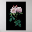 Recherche de redouté posters Floral