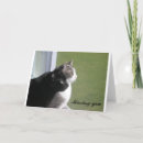 Recherche de animal familier vœux cartes Chats