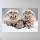 Recherche de hérisson art Animal