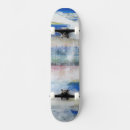 Recherche de peinture comp skateboards Résumé