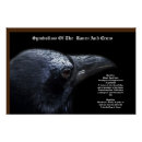 Recherche de corvids posters Animaux