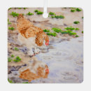 Recherche de poulet ornements Pays