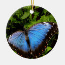 Recherche de exotic ornements Tropical