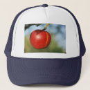 Recherche de vitamine casquettes Fruit