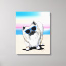 Recherche de chien pomeranian posters Dog
