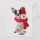 Recherche de chiwawa noël cartes Chien de recouvrement