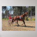 Recherche de trotteur posters Chevaux