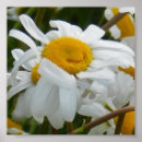 Recherche de visage souriant heureux art Bonheur