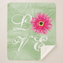 Recherche de gerber rose Aquarelle
