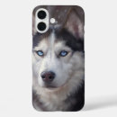 Recherche de husky iphone coques Hiver