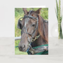 Recherche de cheval toutes vœux cartes Équin