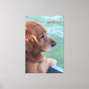 Recherche de chien brun posters Gris