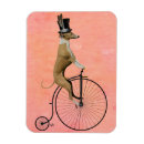 Recherche de levrier magnets Vélo
