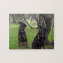 Recherche de rottweiler puzzles Rottie