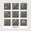 Recherche de orchidées roses autocollants Pour eux