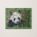 Recherche de panda puzzles Zoo