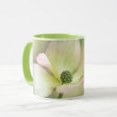 Recherche de fleur de cornouiller tasses Arbre