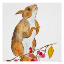 Recherche de écureuil posters Forêt