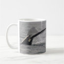 Recherche de queue de baleine tasses Observation des baleines