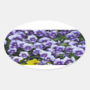 Recherche de violettes autocollants Nature