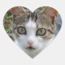 Recherche de chat aux yeux verts autocollants Blanc